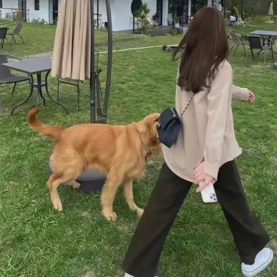 虎将艳奴蛮公主
